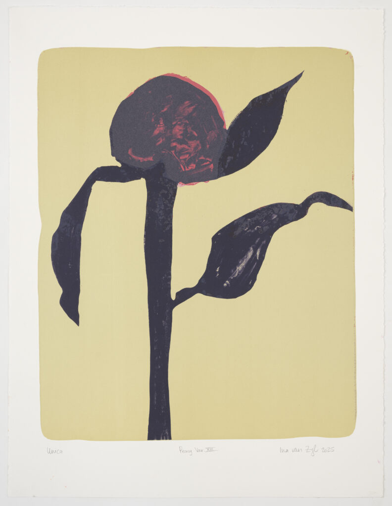 Ina van Zyl. Kunst. Bloem. Steendrukmuseum. Lithografie. Valkenswaard.