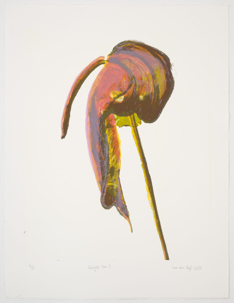 Ina van Zyl, Delight. Steendrukmuseum. Lithografie. Kunst. Bloem