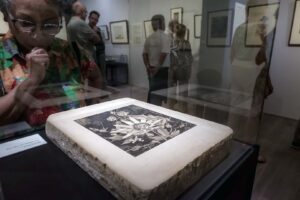 Drawn to nature, steendrukmuseum Valkenswaard bloemen lithografie